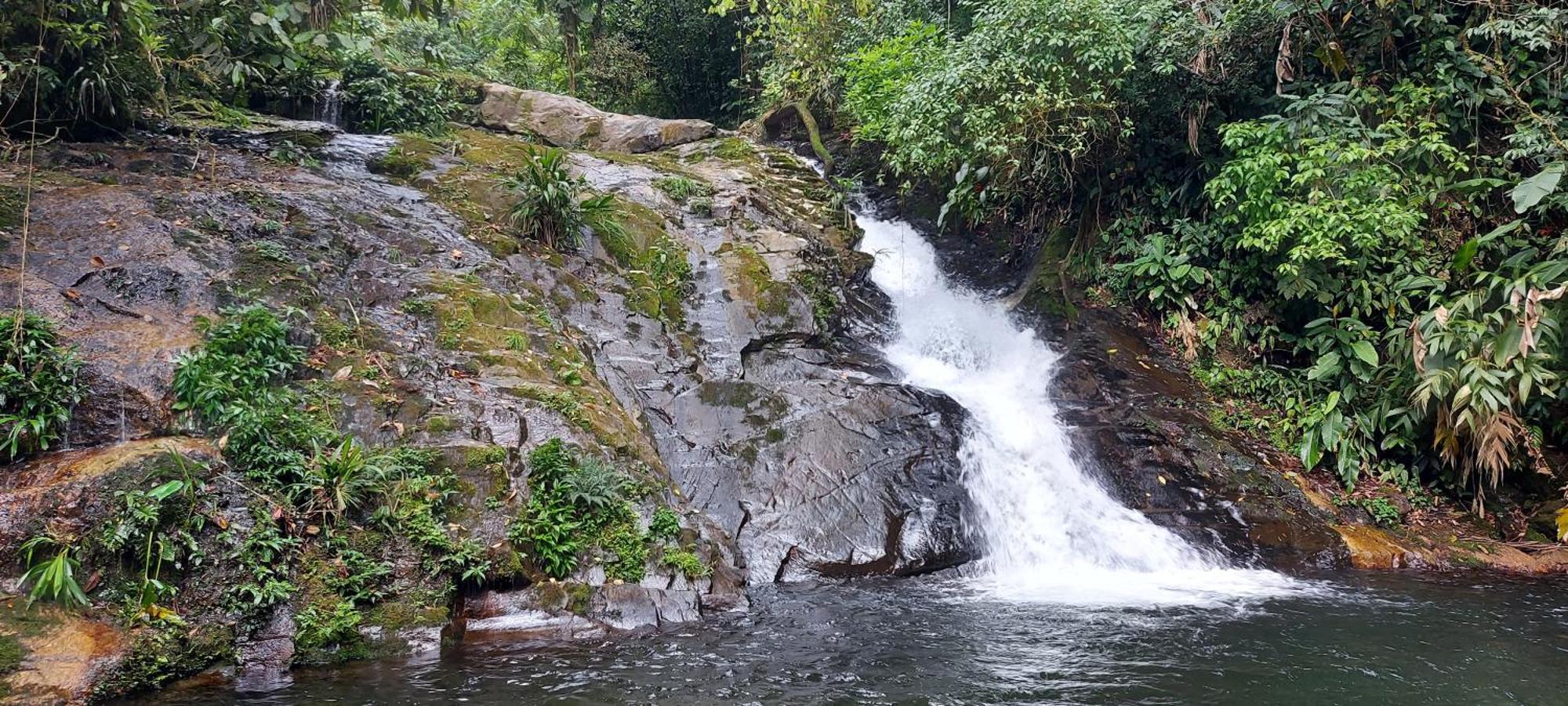 Готель Quintal Da Mata Сан-Себастьян Екстер'єр фото